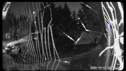 a spider web illuminated against a dark night with trees in the distance