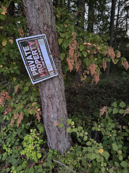 a tree trunk with a falling "PRIVATE PROPERTY" sign amongst other trees