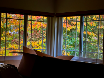 Two large windows with multiple panes show a tree with yellow and red leaves. Cardboard boxes are visible in the foreground.